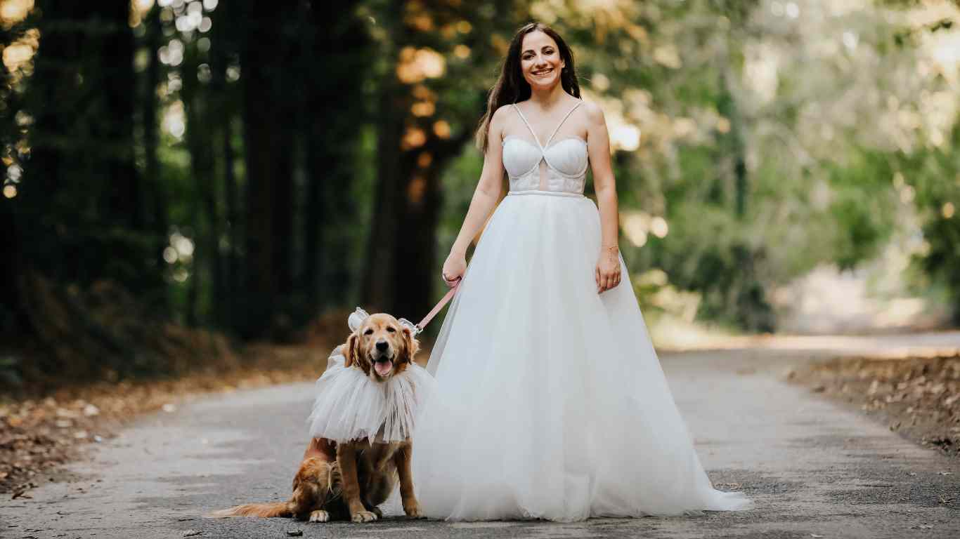 Ways to incorporate your pets into your wedding 1 - Wedding venues Ways to incorporate your pets into your wedding